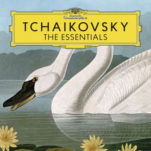 Swan Lake (Suite), Op. 20a, TH. 219 I. Scene - Swan Theme